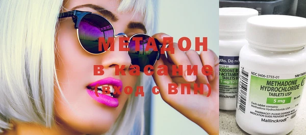 прущие грибы Абаза