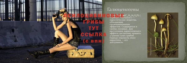 спиды Алексин