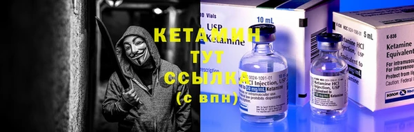 прущие грибы Абаза