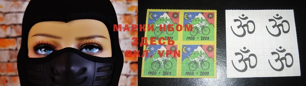 прущие грибы Абаза