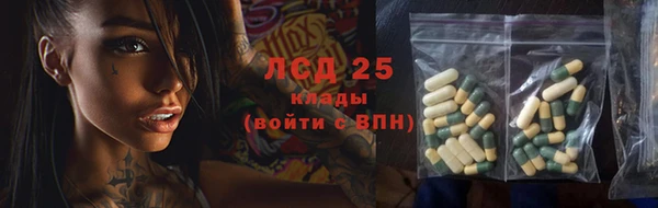 прущие грибы Абаза