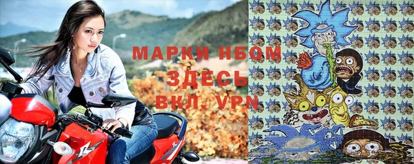 прущие грибы Алзамай