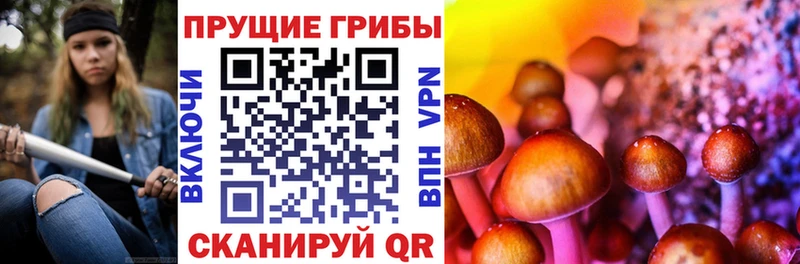ОМГ ОМГ   Углегорск  Галлюциногенные грибы прущие грибы 